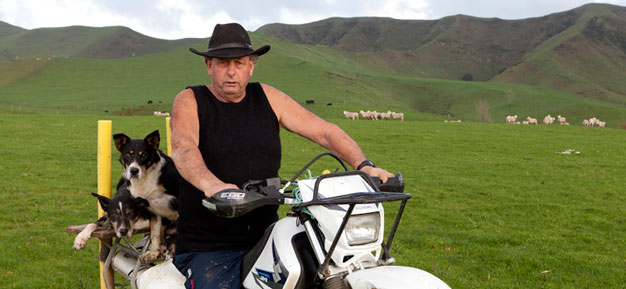 Bryan Hocken Tarata Sheep Farmer 