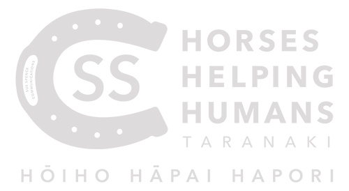 Horses Helping Humans Taranaki